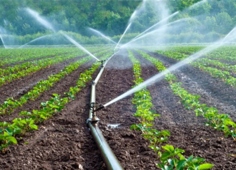 Drip Irrigation
